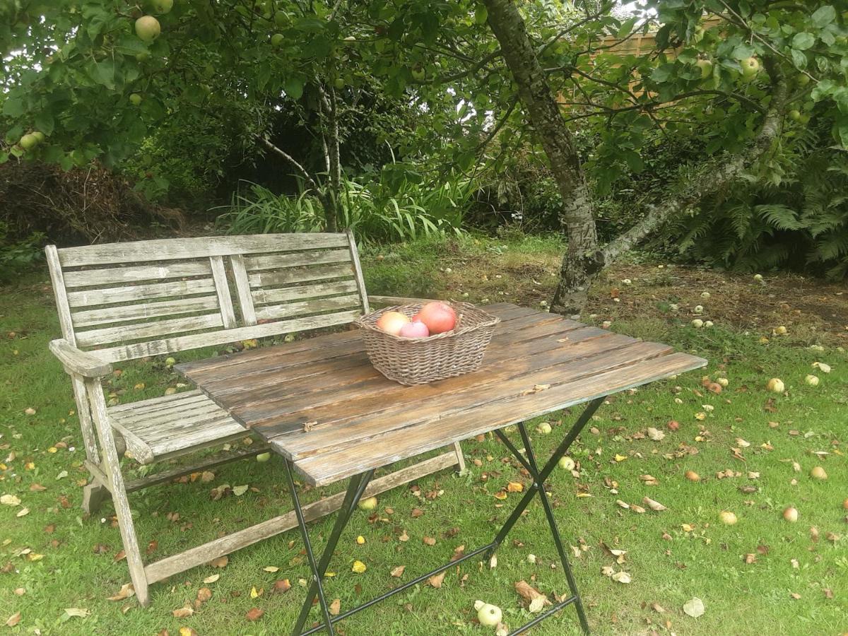 Willa Tranquil Wood Cabin Set In A Beautiful Orchard Penzance Zewnętrze zdjęcie